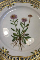 Royal Copenhagen Flora Danica Mittagsteller Nr. 20/3554 mit durchbrochenem Rand