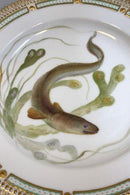 Royal Copenhagen Flora Danica Fisketallerken No 19/3549