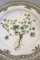 Royal Copenhagen Flora Danica Lunch Teller Nr. 20/3554 mit durchbrochenem Rand.