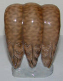 皇家哥本哈根新艺术风格的3只猫头鹰图, 由Christian Thomsen设计, 编号1154