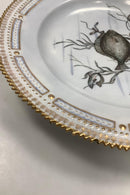 Royal Copenhagen Privat gemalt Flora Danica Fisch Teller Nr 3549