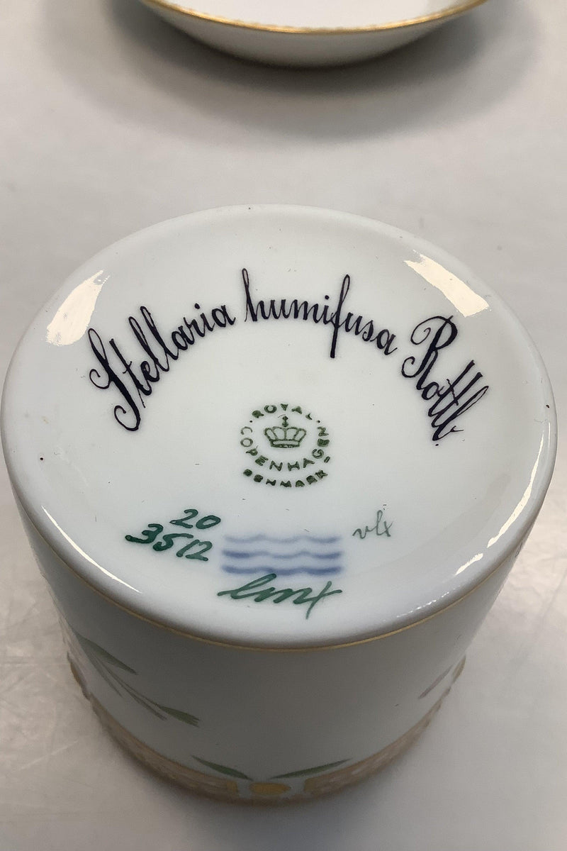 Royal Copenhagen Flora Danica Chokoladekop No 20/3512