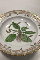 Royal Copenhagen Flora Danica Dyb Tallerken No 20/3546 eller 604