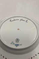 Royal Copenhagen Flora Danica tallerken med gennembrudt kant No 20/3553