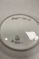 Royal Copenhagen Flora Danica Frokosttallerken No 20/3550