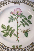 Royal Copenhagen Flora Danica Teller mit durchbrochenem Rand Nr. 20/3553
