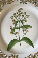 Royal Copenhagen Flora Danica Stor Rundt Gennembrudt Fad No 20/3528