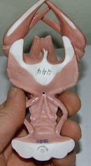 Royal Copenhagen Jugendstil Figur Krebs Nr. 444