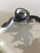 Royal Copenhagen Blækhus Bakke No 19 med Slange og Frø