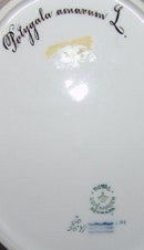 Royal Copenhagen Flora Danica Blattförmiger Teller Nr. 3541