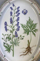 Royal Copenhagen Flora Danica Ektra Großes Serviergeschirr Nr. 375 oder 3521