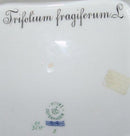 Royal Copenhagen Flora Dancia Square Bowl No 3510