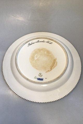 Royal Copenhagen Flora Danica Rundt Fad No 3524 (Pre 1923)