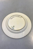 ロイヤルコペンハーゲン フローラダニカディナープレート No 20/3549