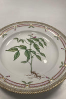 Royal Copenhagen Flora Danica Spisetallerken No. 624 ( 20 / 3549 )