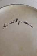 Royal Copenhagen Flora Danica Großes ovales Serviergeschirr Nr. 3520