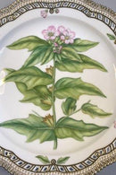 Royal Copenhagen Flora Danica Große durchbrochene Schale Nr. 384 oder 3529