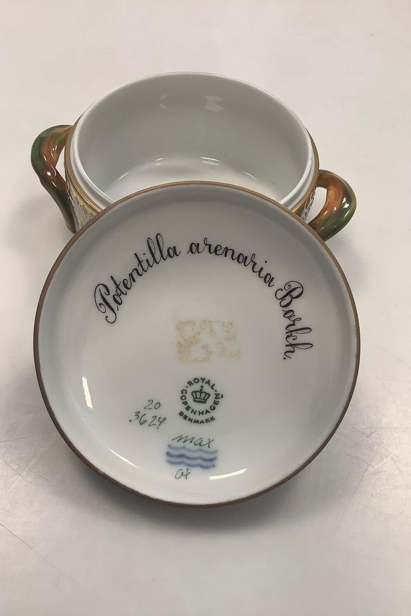 Royal Copenhagen Flora Danica Sukkerskål No 20/3502 / 3624