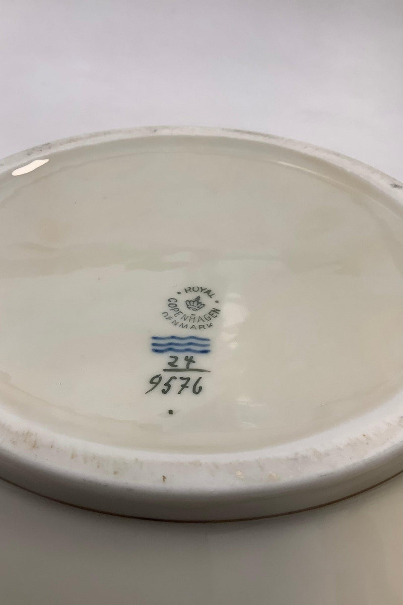 Royal Copenhagen Asmild Suppeterrin No. 9576