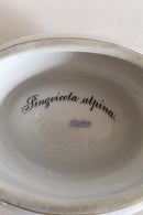 Tidlig Royal Copenhagen Flora Danica Salt Kar No 3557 fra 1870's