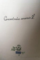 Royal Copenhagen Flora Danica Schale mit Deckel Nr. 735/3568