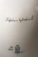 Royal Copenhagen Flora Danica lågskål No 735/3568