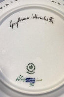 皇家哥本哈根Flora Danica午餐盘，编号20/3554，带穿孔边缘