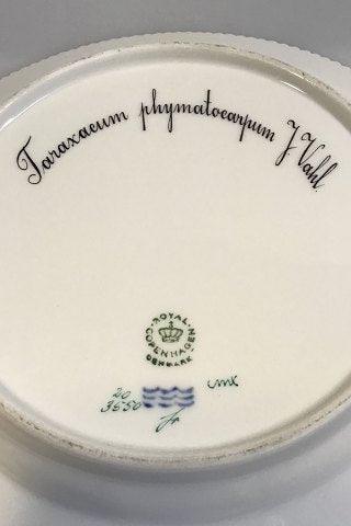 Royal Copenhagen Flora Danica Frokosttallerken No 20/3550