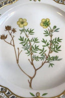 ロイヤルコペンハーゲン フローラダニカ ディッシュ（リム透かし彫り） No 20/3574