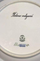 Royal Copenhagen Flora Danica Fisketallerken No 19/3549