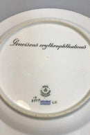 Royal Copenhagen Flora Danica Fish Plate No 19/3549