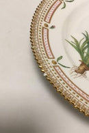 Royal Copenhagen Flora Danica Mittagsteller Nr. 20/3550