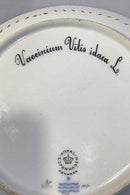 Royal Copenhagen Flora Danica Lunch Plate No 20/3554 mit durchbrochenem Rand.