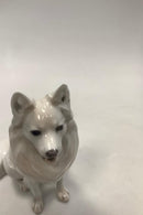 Royal Copenhagen Figurine af  Hvid German Spitz No. 977