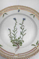 Royal Copenhagen Flora Danica Dessert Tallerken No 20/3551