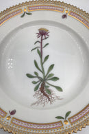 Royal Copenhagen Flora Danica Dessert Tallerken No 20/3551