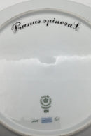 Royal Copenhagen Flora Danica Speiseteller Nr. 624 (20/3549)