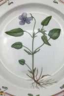Royal Copenhagen Flora Danica Dinner plate No. 20/3549