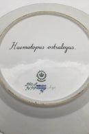 Royal Copenhagen Flora Danica Fuglestel Middagstallerken No 240/3549.