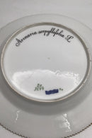 Tidlig Royal Copenhagen Flora Danica Spisetallerken No. 20 / 3549