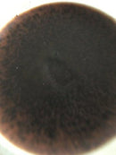 Bing und Grondahl Steingutvase von Valdemar Petersen Nr. 779