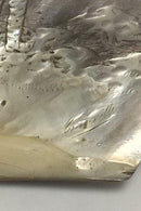 Large engraved mother of pearl shell.