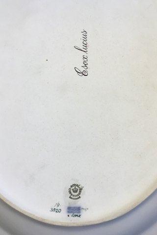 Royal Copenhagen Flora Danica Ovalt Fiskefad No 3520