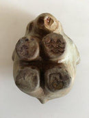 Royal Copenhagen Jeanne Grut Stentøjs Elefant / Skål el. Vase