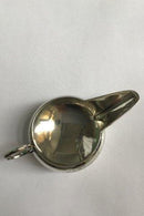 Sølvkande med lang næb