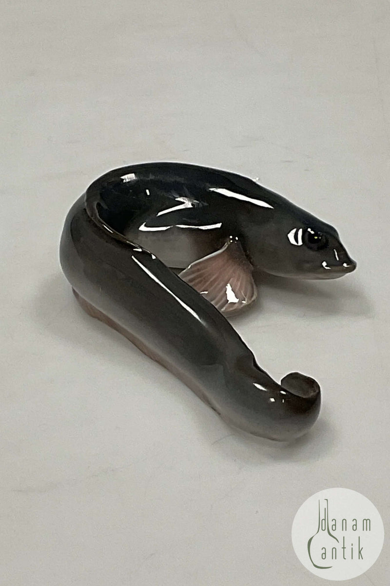 Royal Copenhagen Figur af Ålekvabbe No 462. Viviparous Blenny.