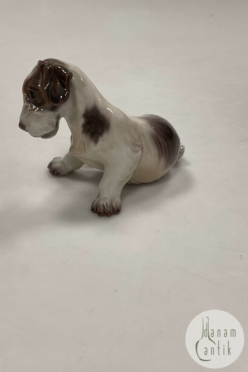 Dahl Jensen Figur Hund Ruhåret Foxterrier Hvalp No. 1008