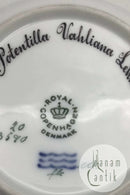 Royal Copenhagen Flora Danica Fruit Plate No. 20/3590