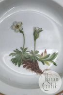 Royal Copenhagen Flora Danica Frugt tallerken No. 20/3590