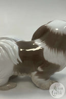 Bing og Grøndahl Figur Japanese Chin hund / Pekingneser No. 2114
